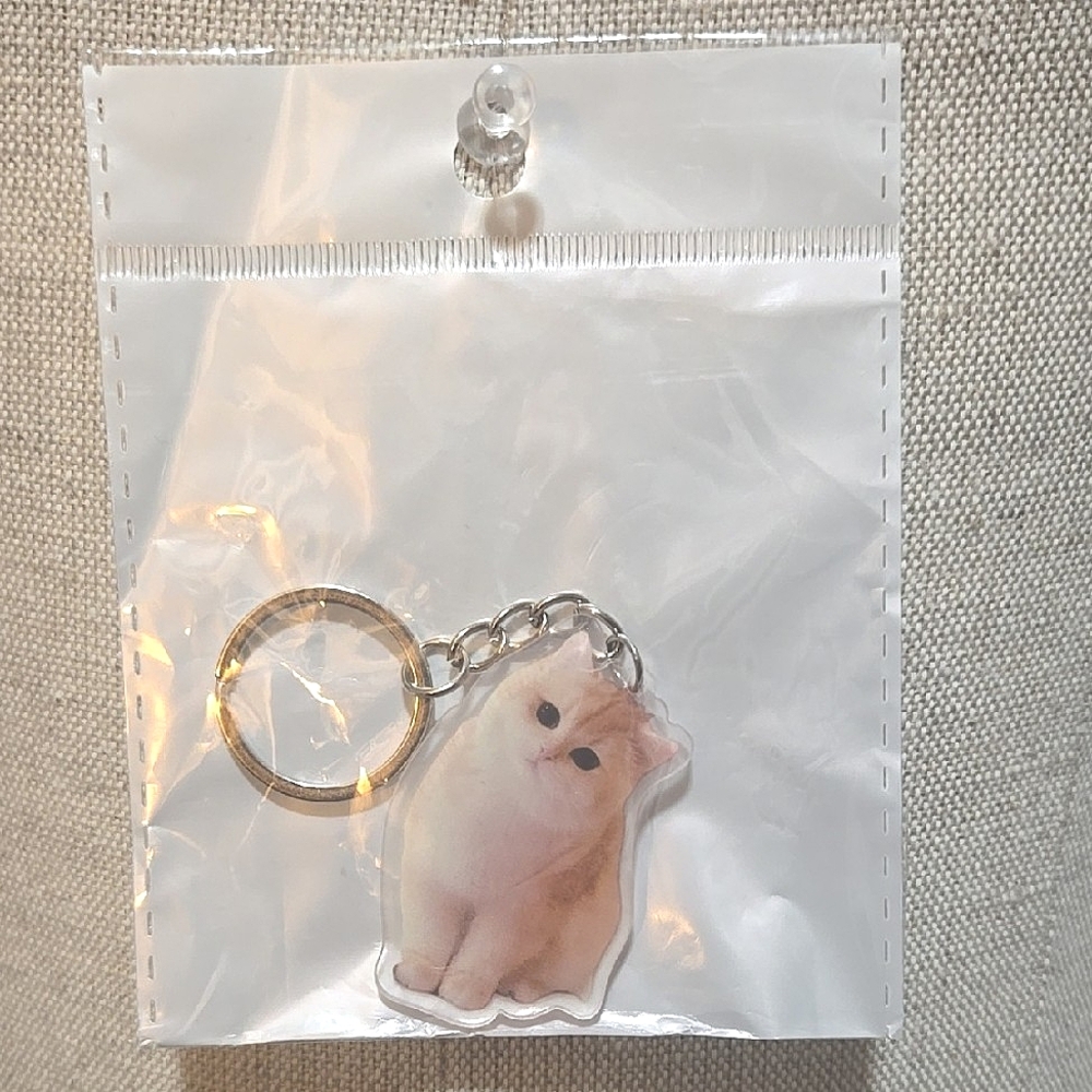 Cute Cat Keychain for Pet Lovers